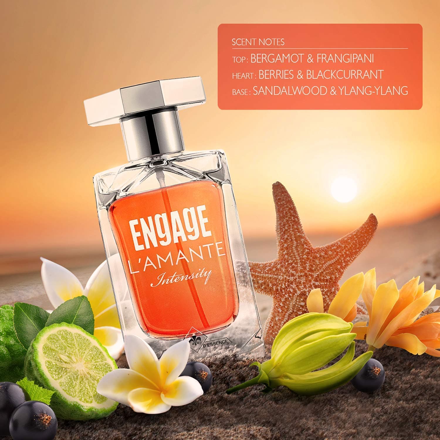 Eau de Toilette vs Eau de Parfum: What's the Difference?